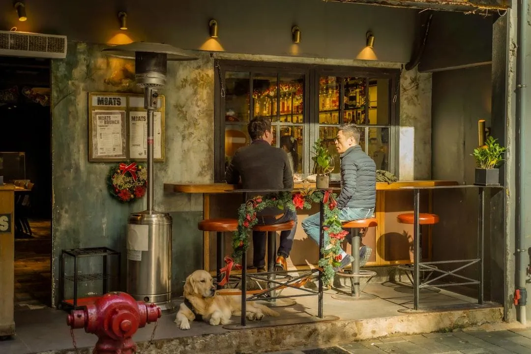 dog relaxing at a cafe