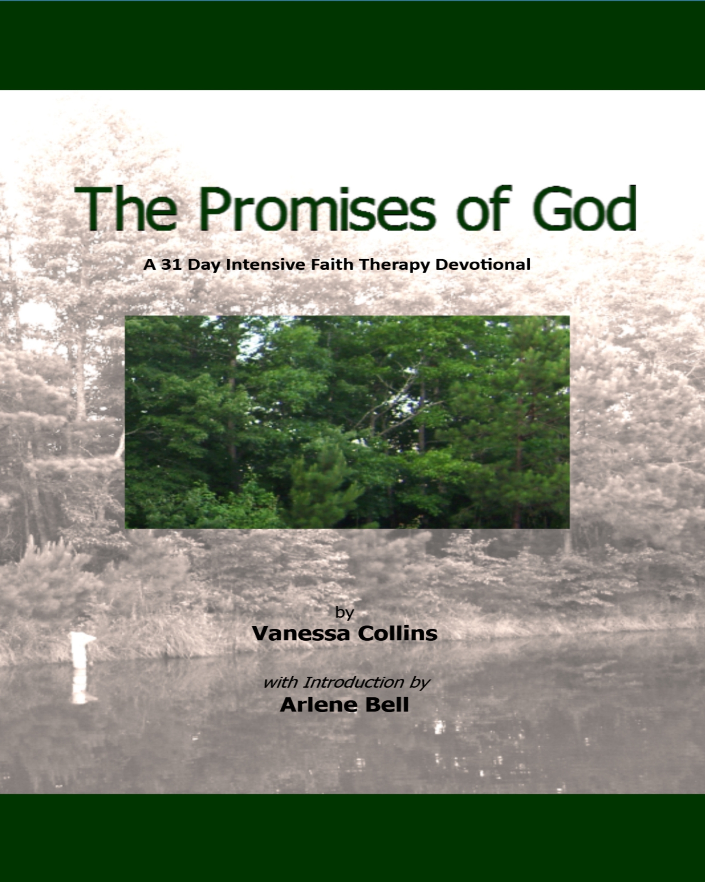 The Promises of Jesus Book Cover