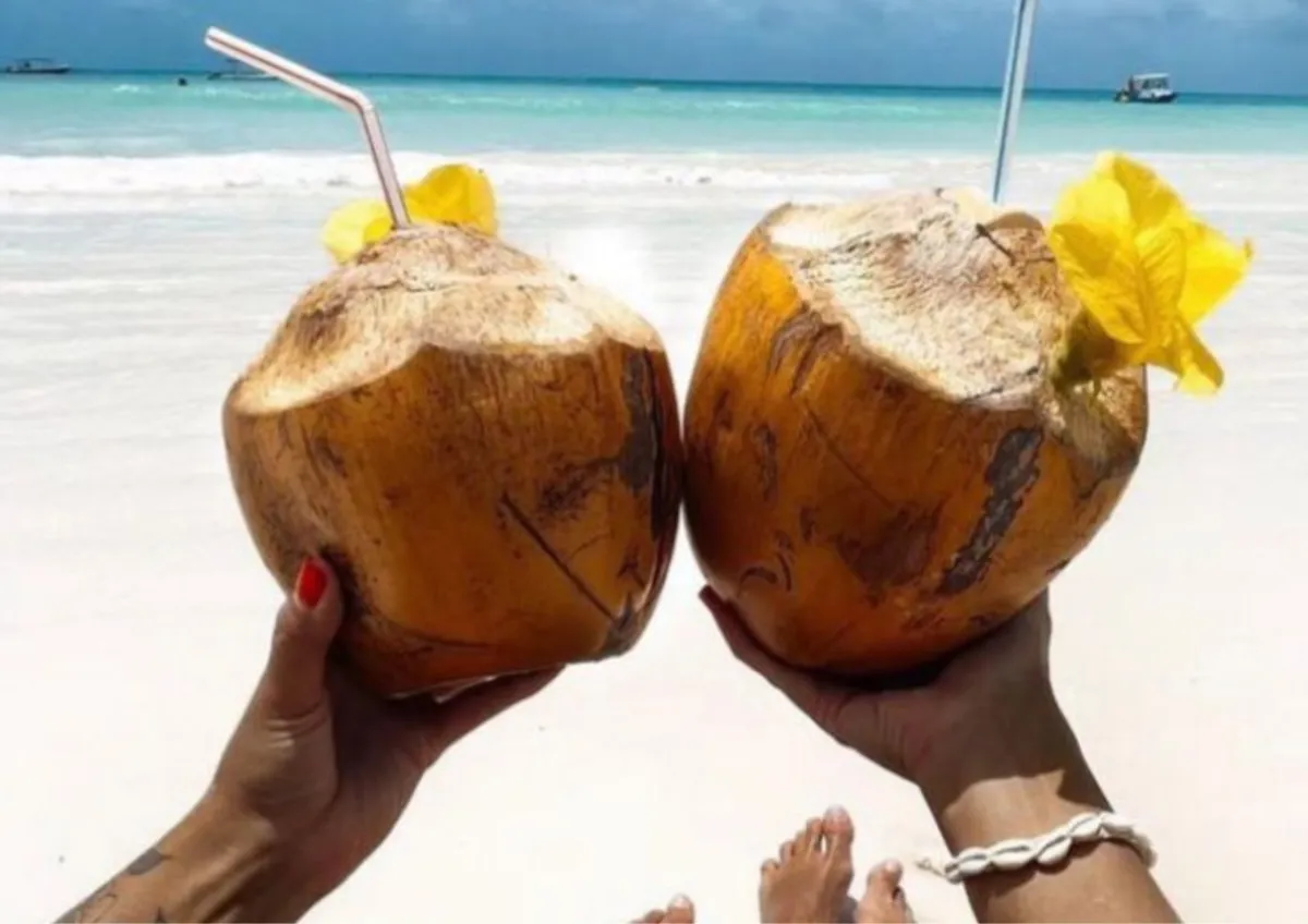 Airplane contrail against a clear blue sky