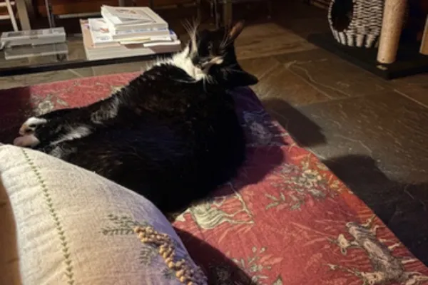 Onyx Won't Be Very Happy With Her Mom Going Out Of Town.