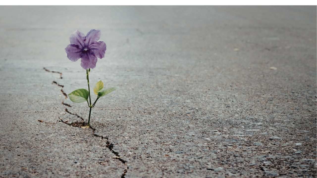 concrete cracks