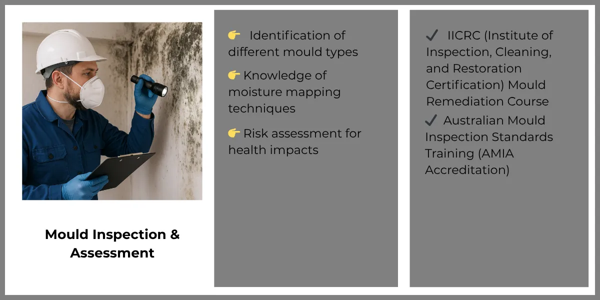 Identification of different mould types