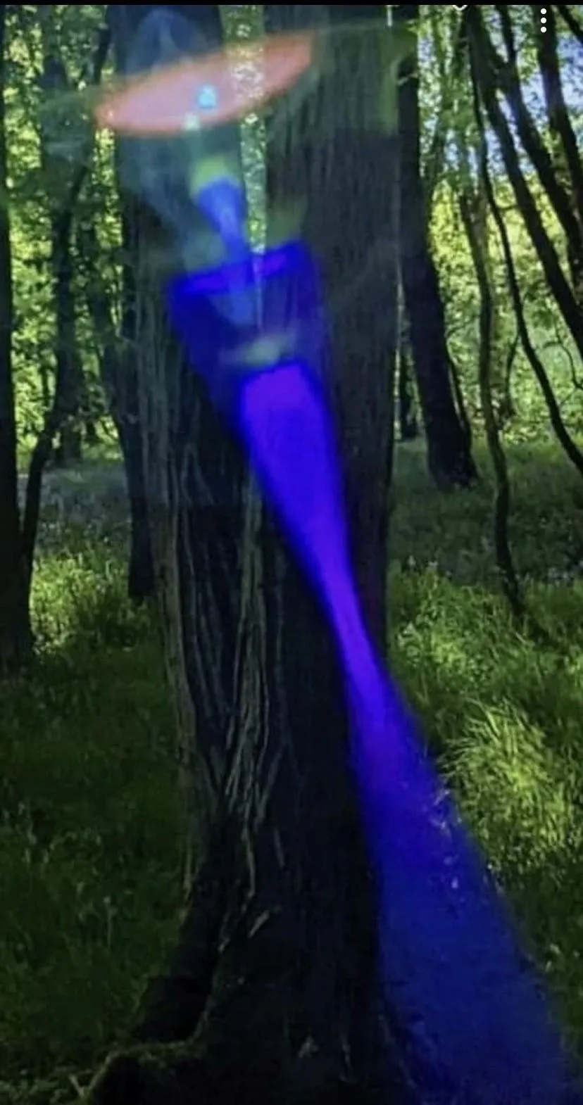 A purple solar flare in a forest which resembles the form of a woman in a long thin dress.