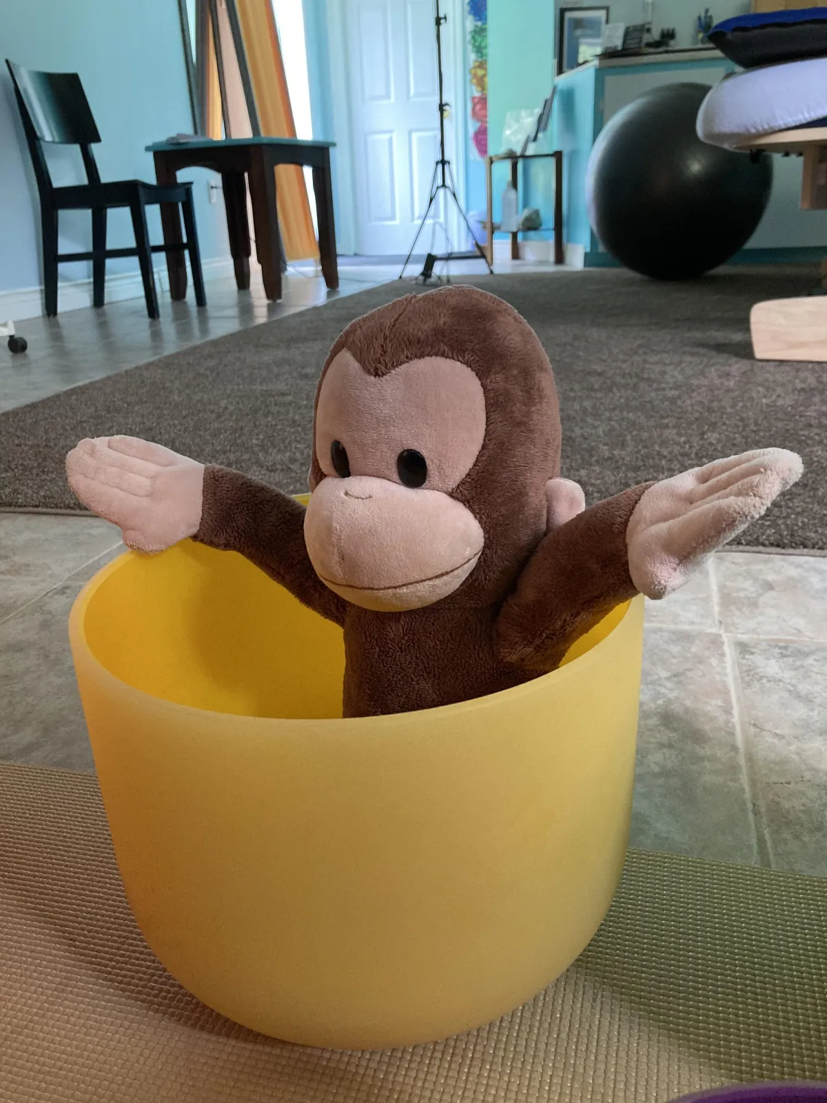 monkey inside yellow sound bath bowls