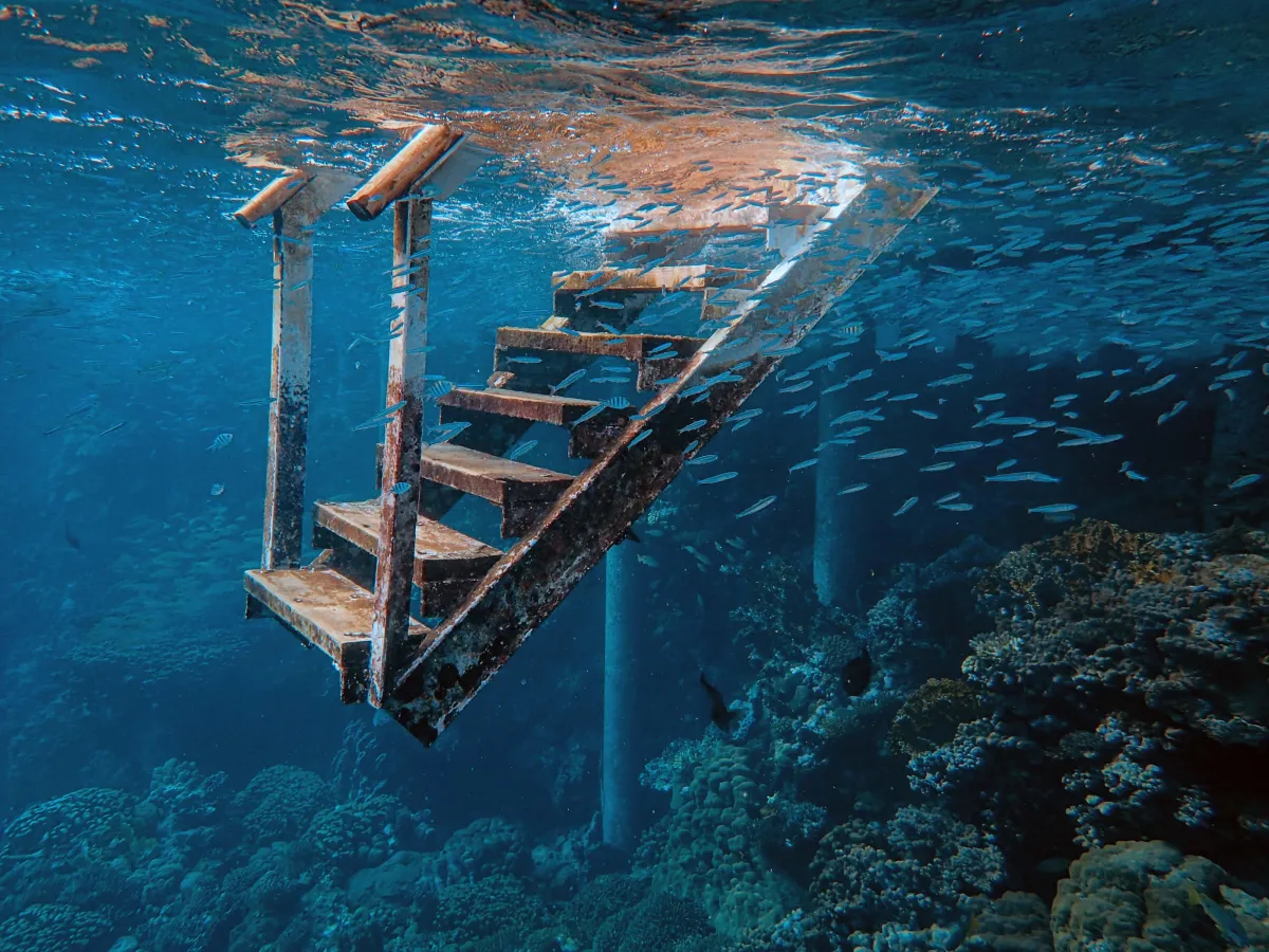 rusty stairs under the sea with corals and fishes