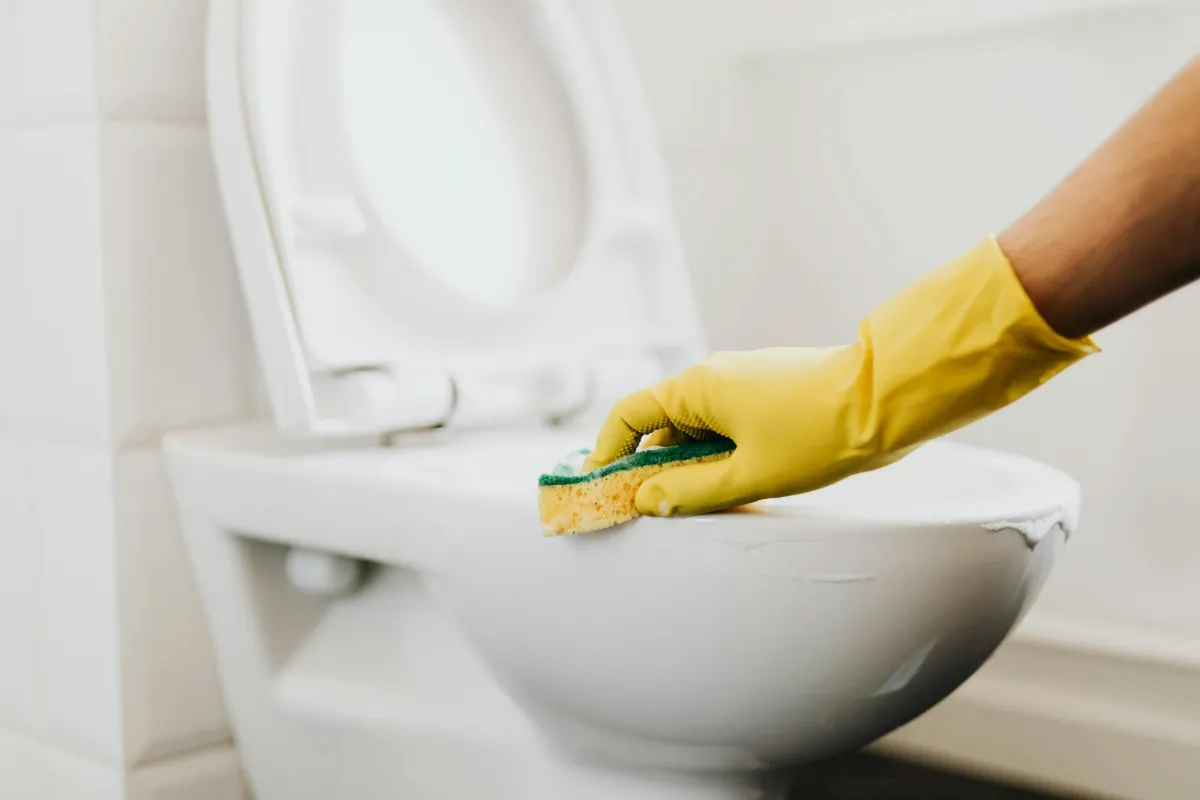 Professional janitorial services cleaning and maintaining a commercial office building