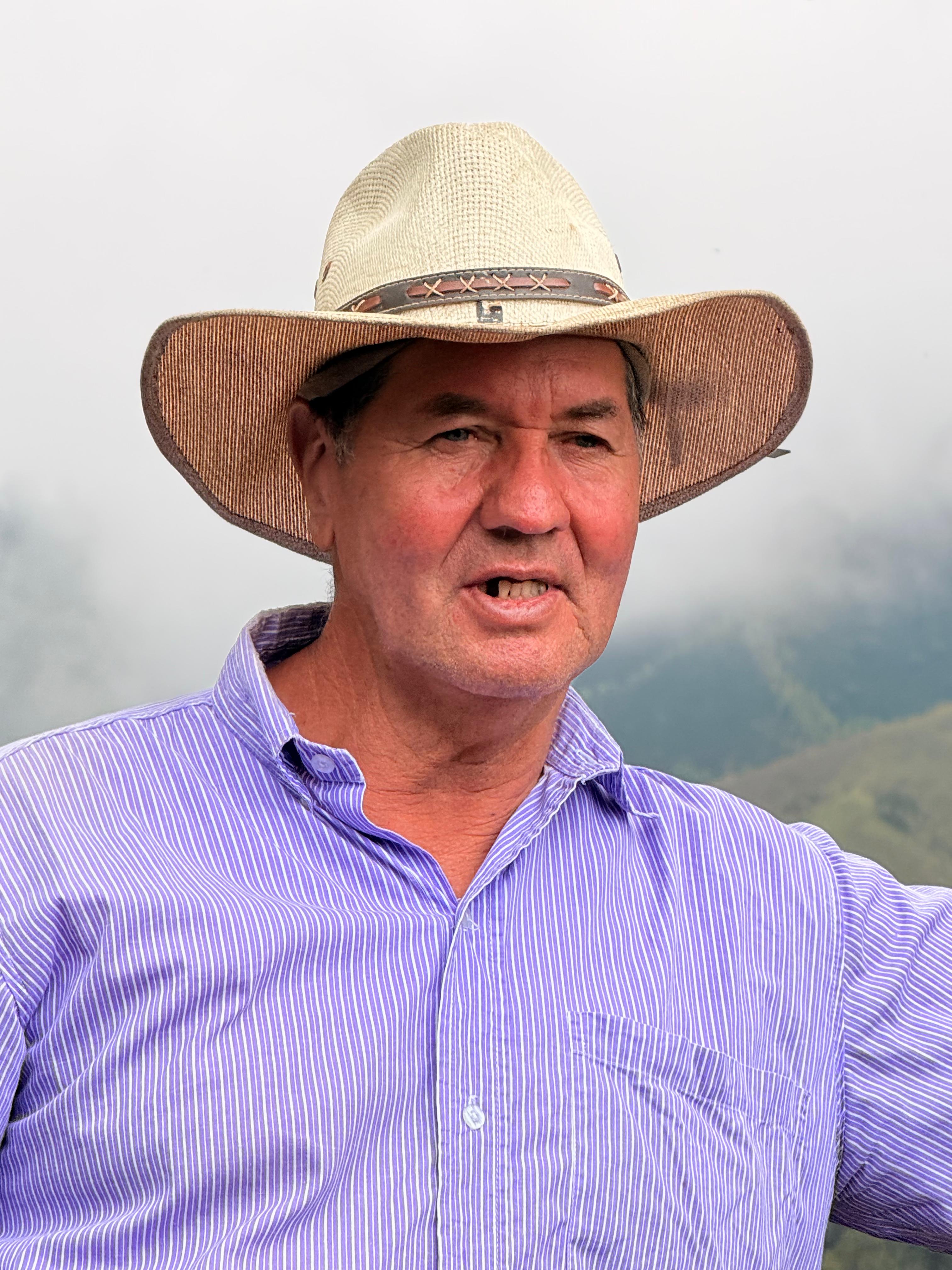 Hands harvesting ripe coffee cherries from a plant.
