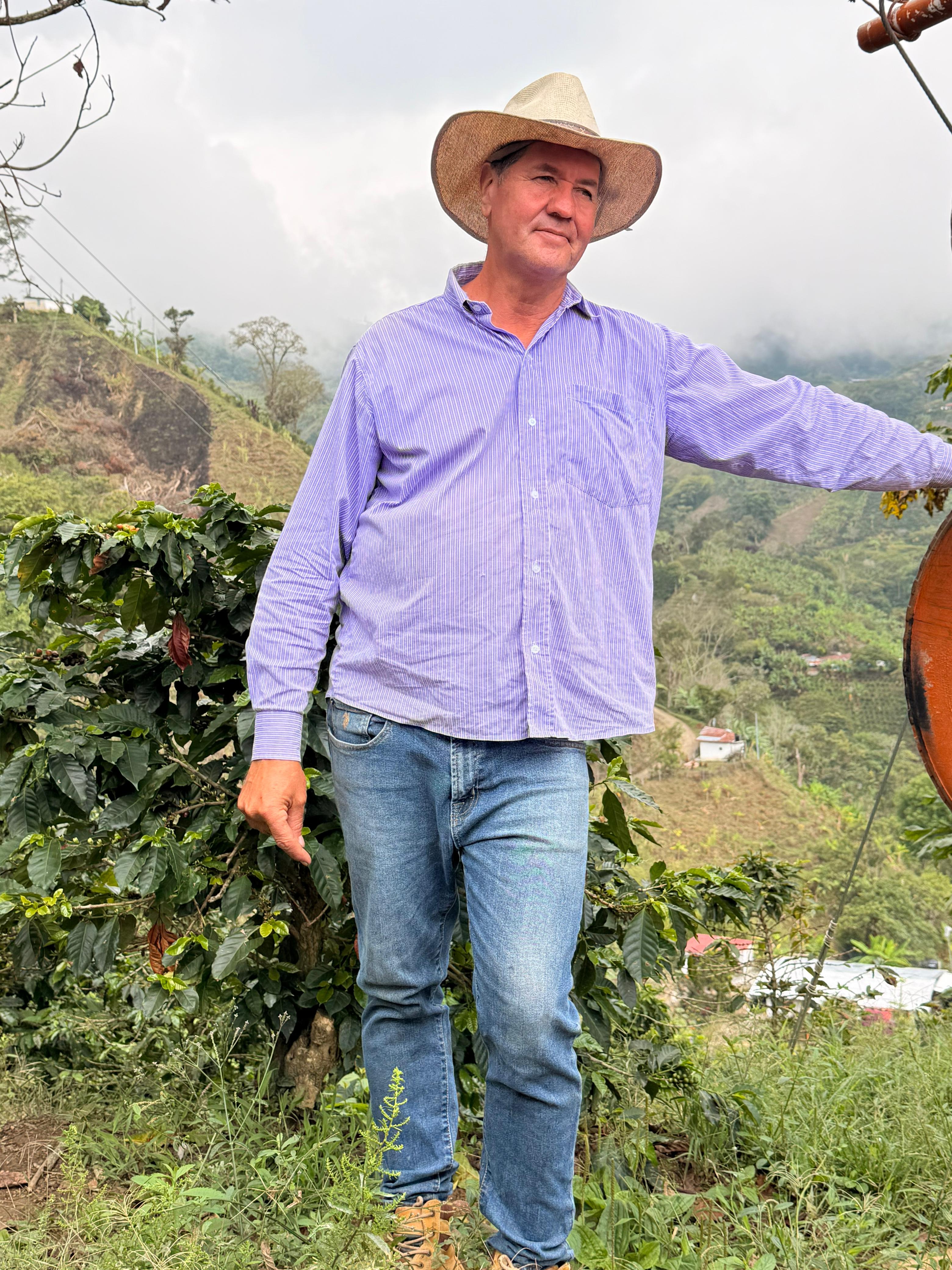 an aerial view of a rice field in the countryside