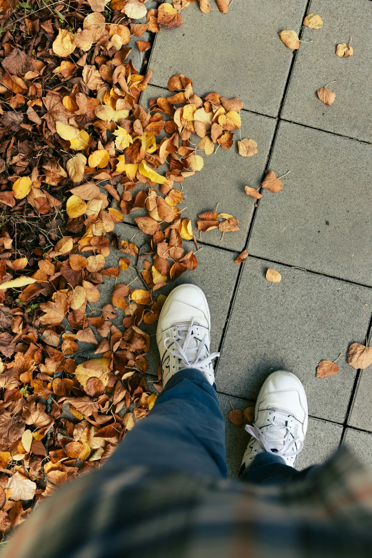 Season of Balance