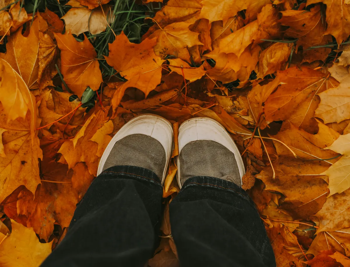 Fit for Fall!