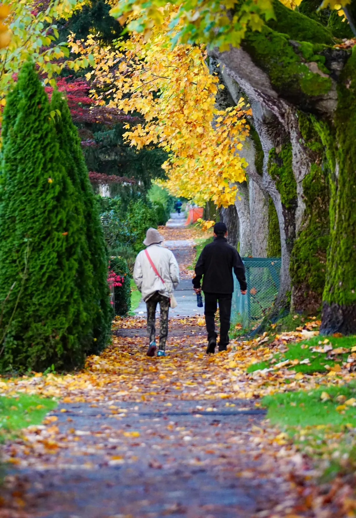 Fall into Safer Steps