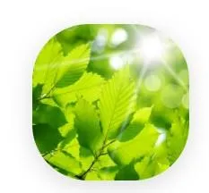 testimonial - young leaves, no bloating, no pms