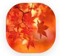 testimonial - fall leaves, no more osteoporosis