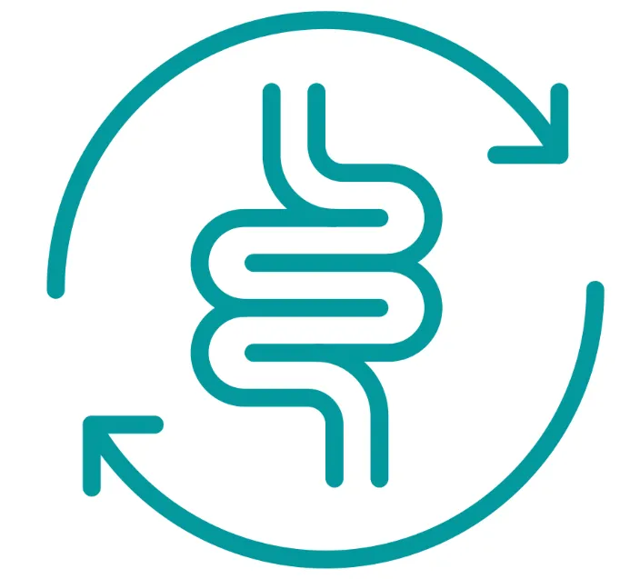gut health icon