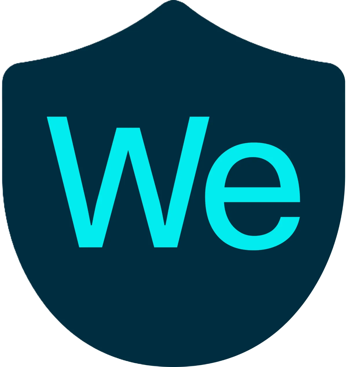 We Insure Logo