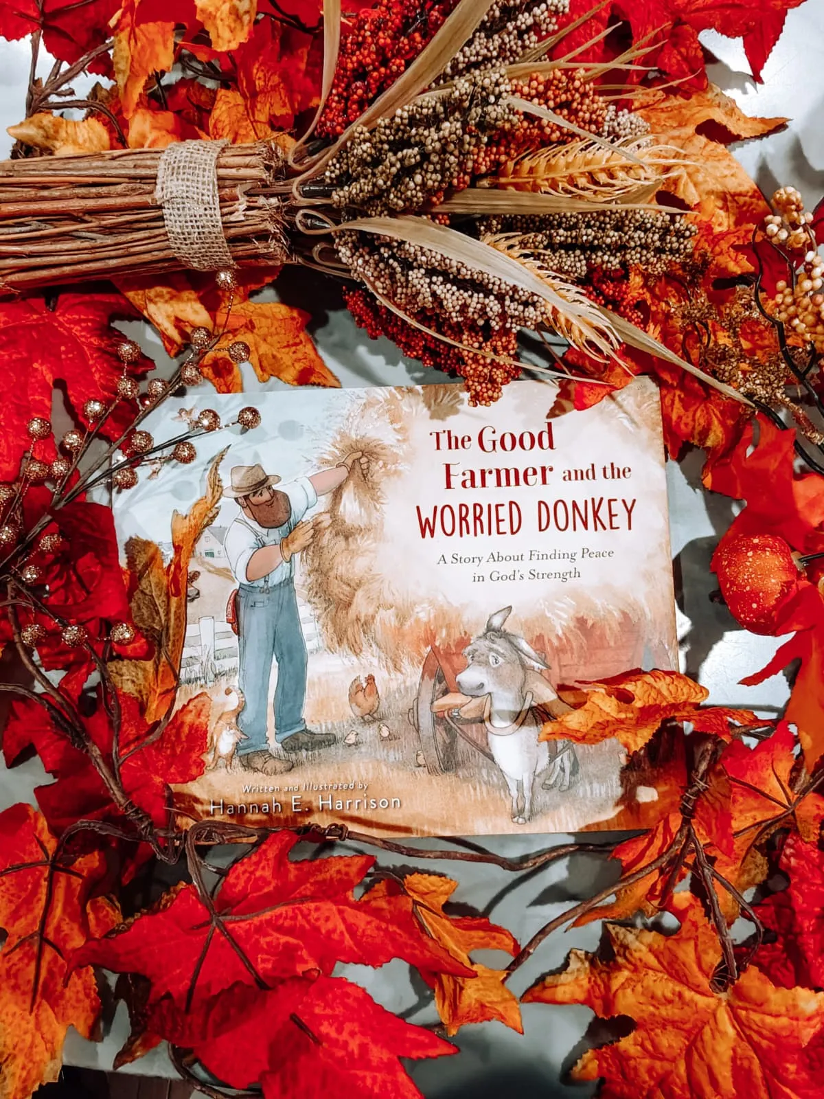 The Good Farmer and the Worried Donkey by Hannah E. Harrison book review