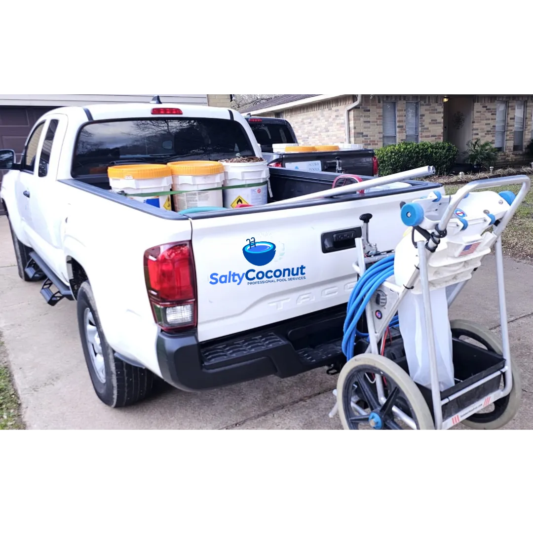 pool cleaning service