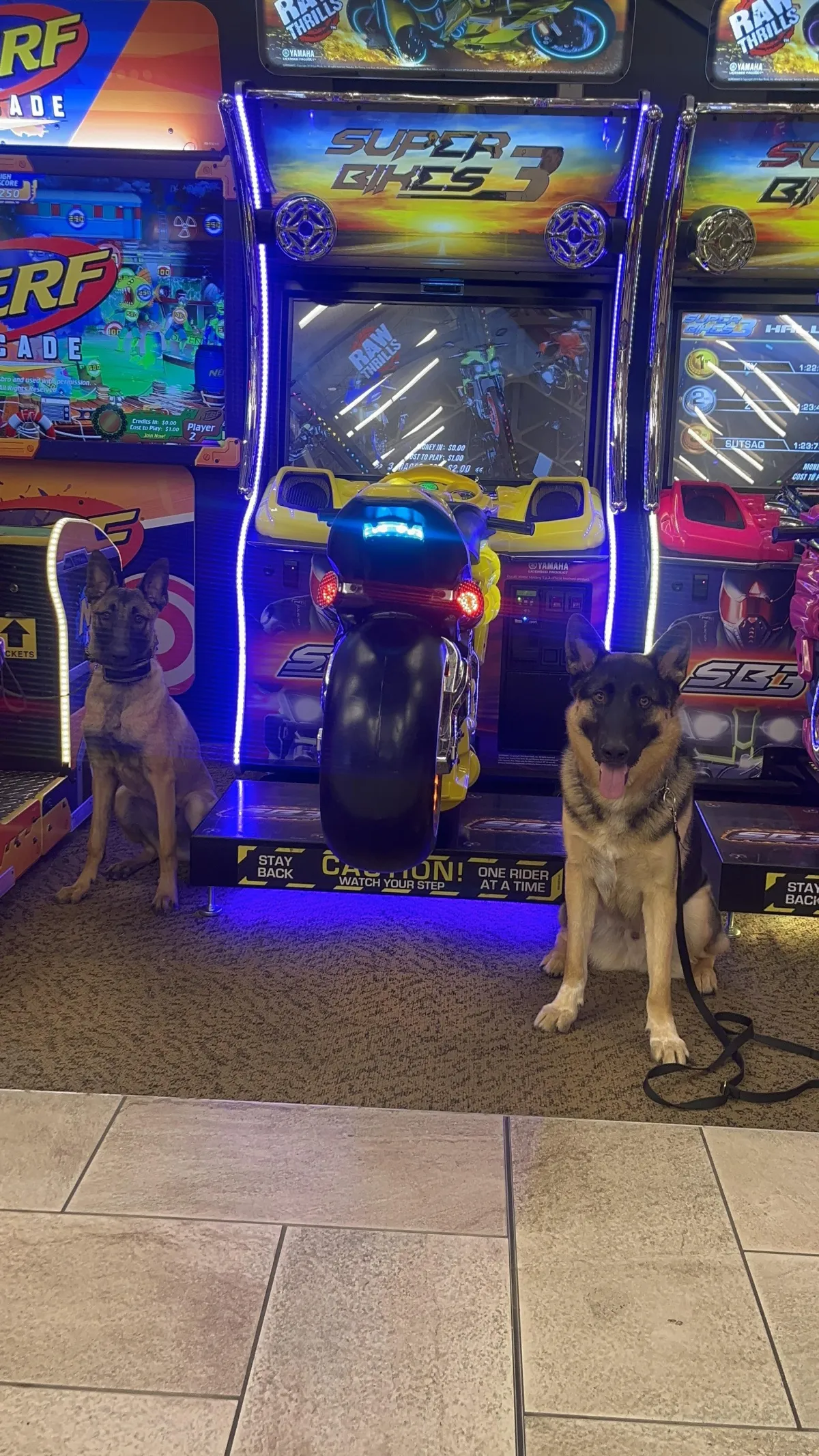 No Paws Like Home Trainers Maddox & Kaiden