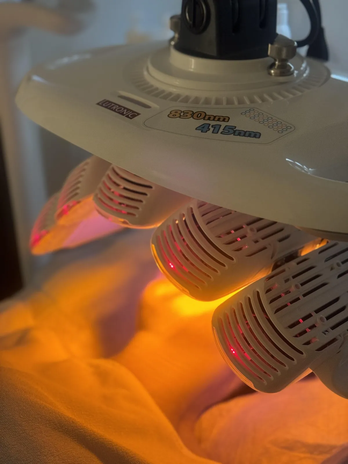 yard cleaning services ellenbrook