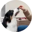 Puppy Care