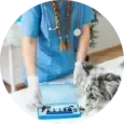 Dog Lab Tests
