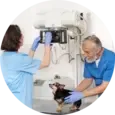 Dog Endoscopy