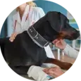 Carpal Hyperextension