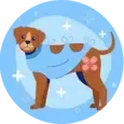 Pet Orthopedic Surgery Stockton CA