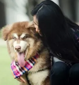 Dog Endoscopy Stockton CA