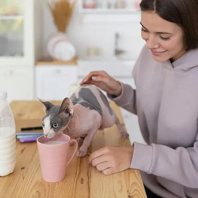 Cat Preventive Care