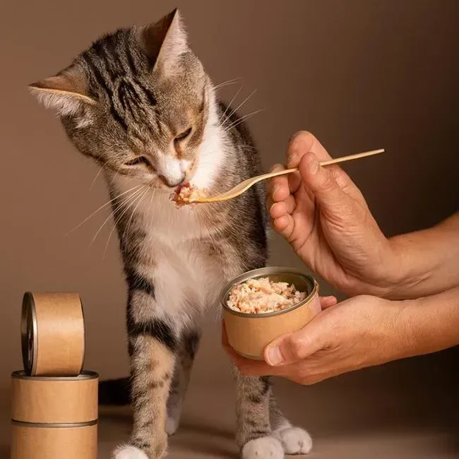 Cat Nutrition