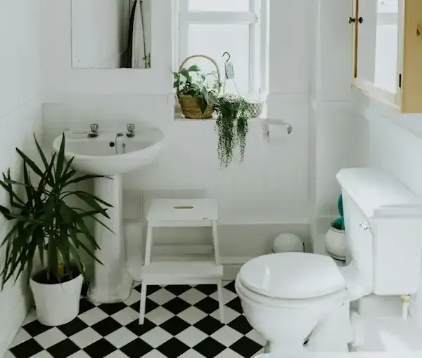Toilet Repair and Installation