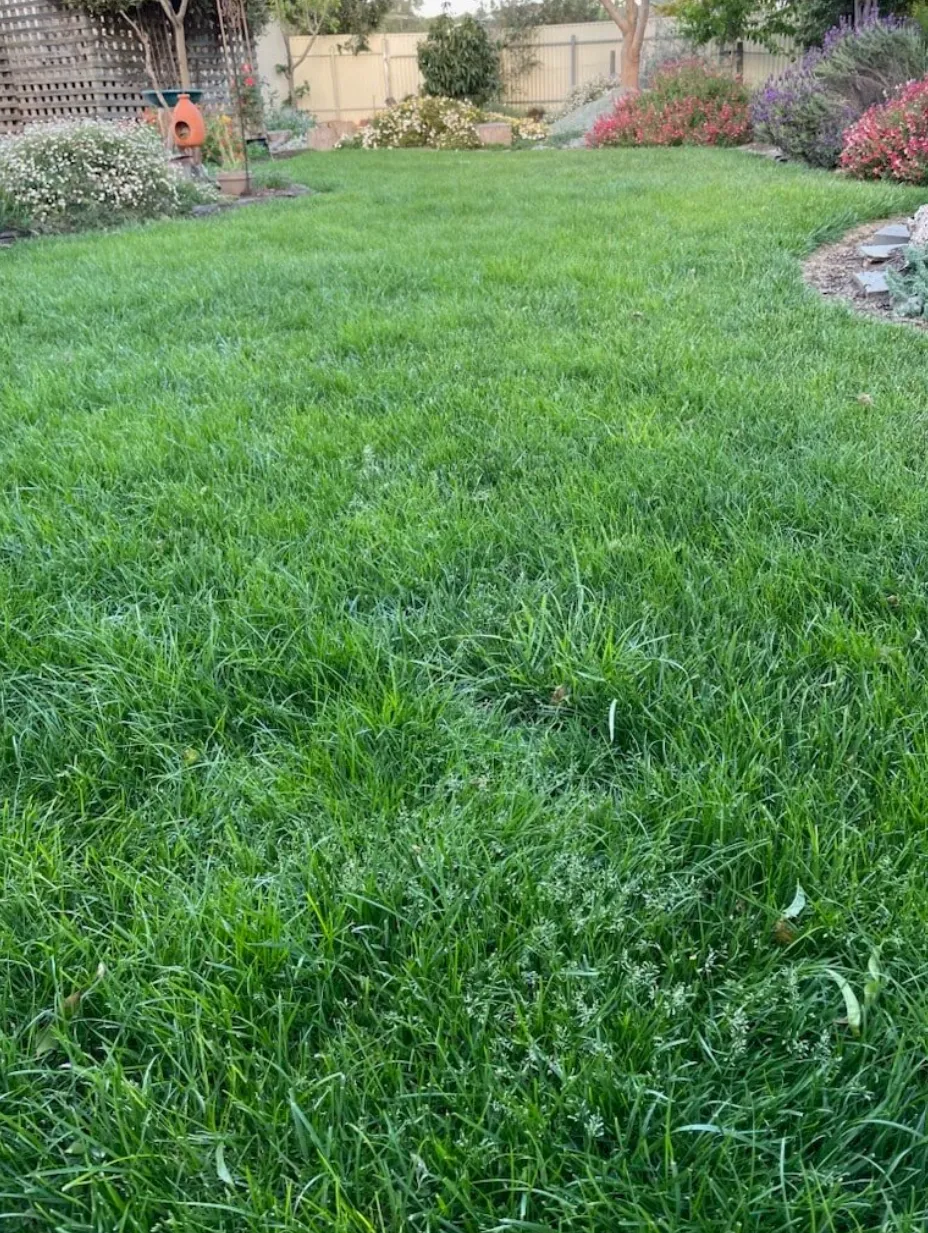 Property Maintenance Ellenbrook