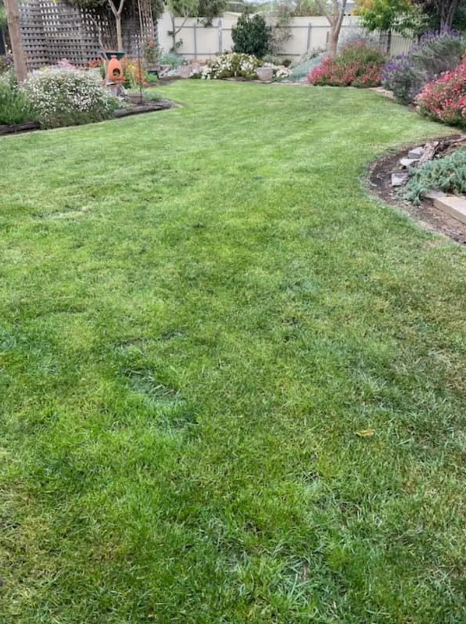 Property Maintenance Ellenbrook