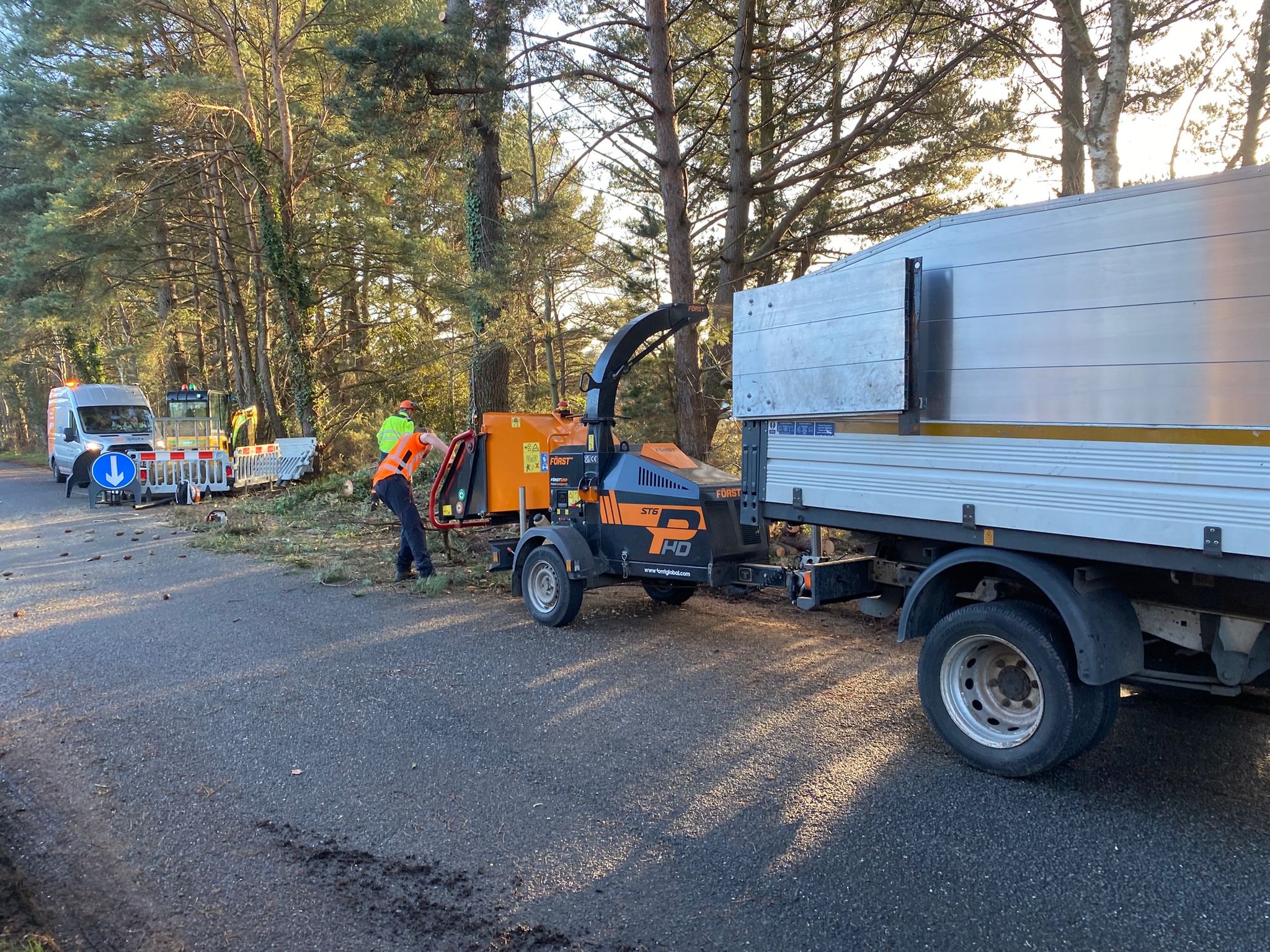 NPTC qualified tree surgeon working safely in a Fordingbridge garden