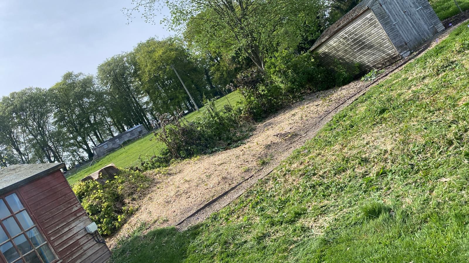 NPTC qualified tree surgeon working safely in a Fordingbridge garden