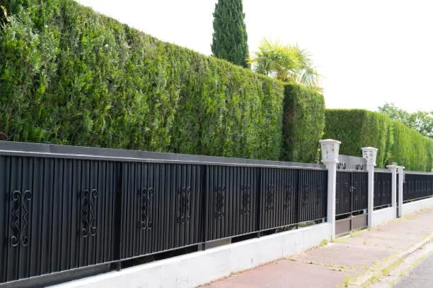 ALUMINUM FENCING St. Louis