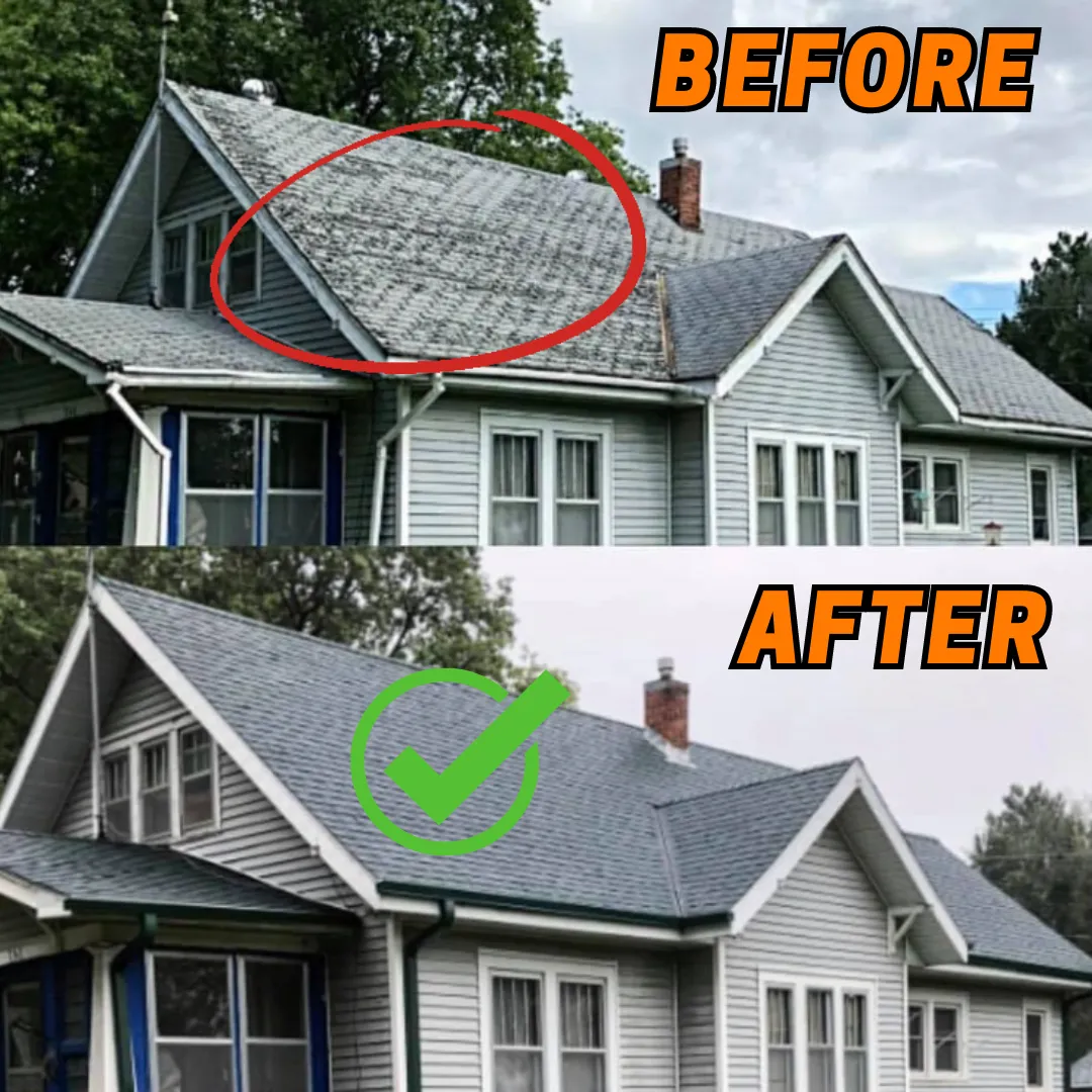 Roofing and Remodeling Services 