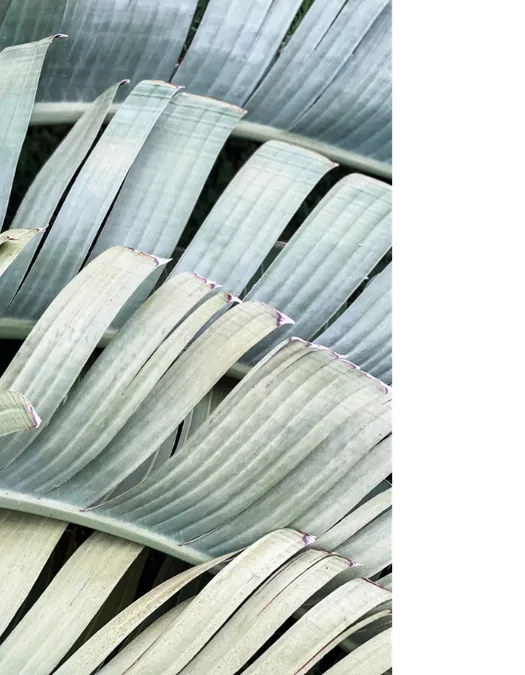 I believe in real estate like I believe in gravity. - Ann Brady