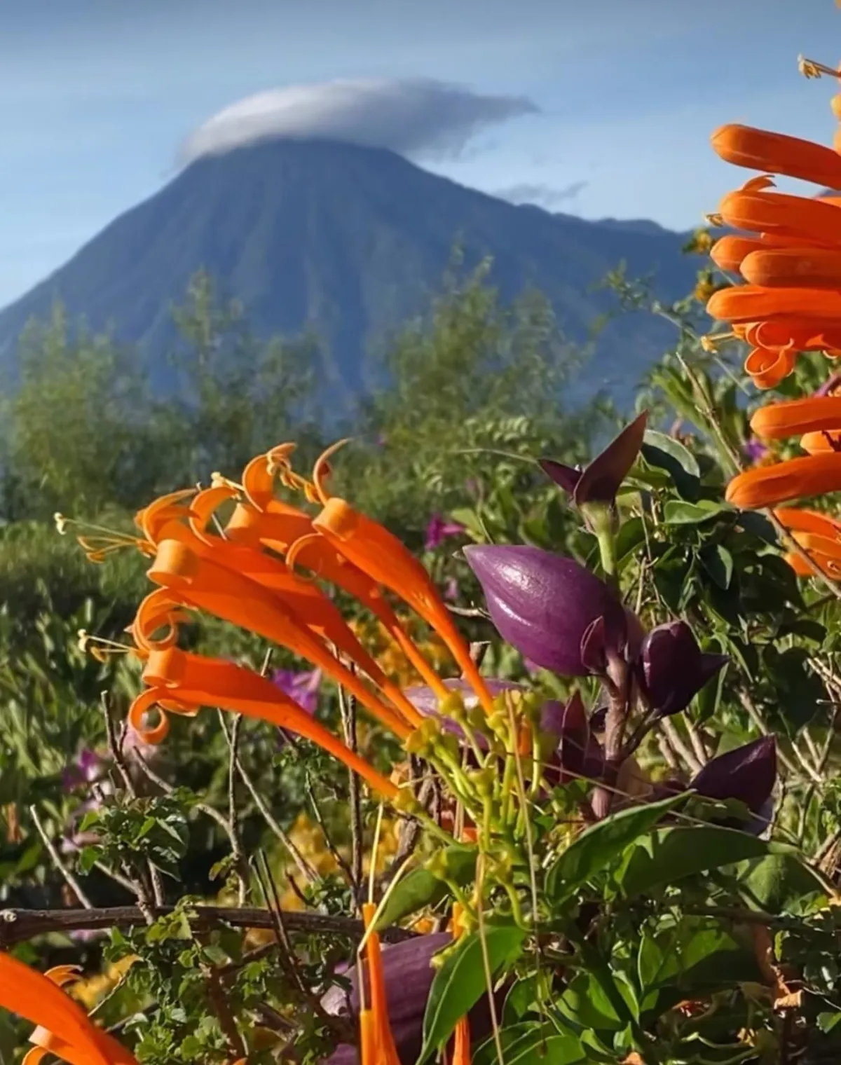 Two women practicing yoga outdoors in autumn park.