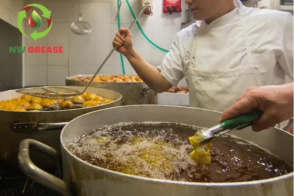 How Restaurants Can Turn Used Oil Into Extra Revenue