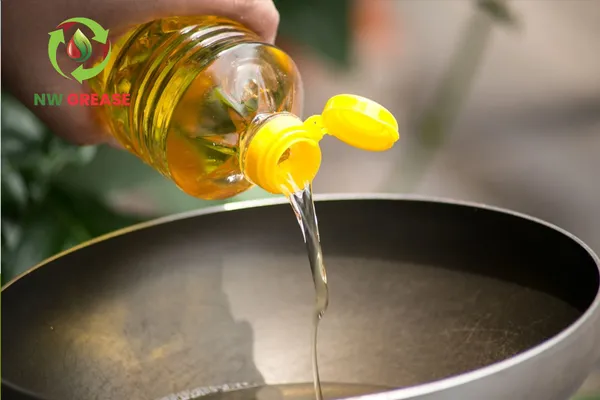 The Science Behind Turning Used Cooking Oil Into Clean Fuel