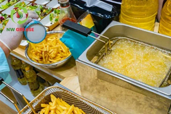 The Complete Restaurant Owner’s Guide to Waste Oil Recycling