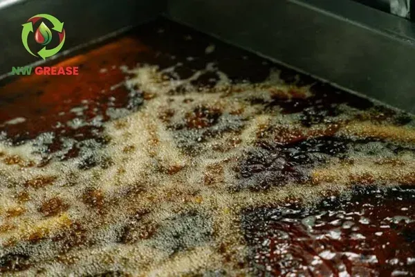 What Restaurant Owners Need to Know About FOG Compliance