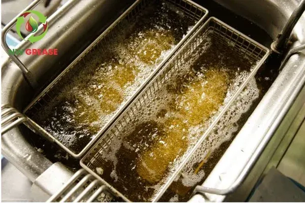 How Better Oil Management Helps Restaurants Scale Efficiently