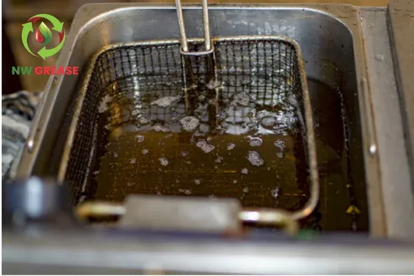 What Happens to Used Cooking Oil After It Leaves Your Restaurant?