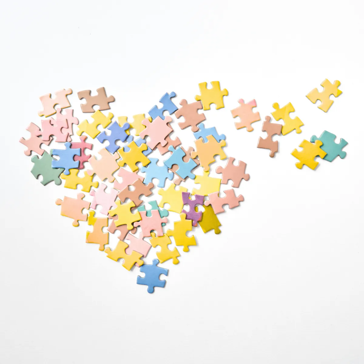 THE MISSING PUZZLE PIECE WITHIN