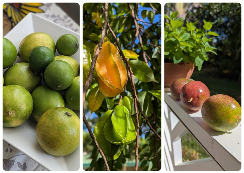 A Season of Enoughness