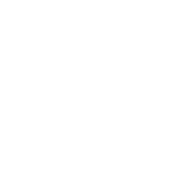 20+ Years' Experience