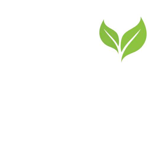 Life Without Pain